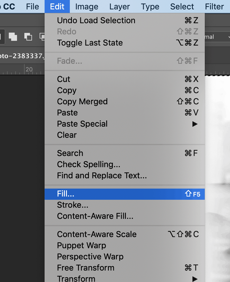 fill option in adobe photoshop