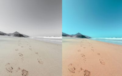 How to Replace a Color in Photoshop