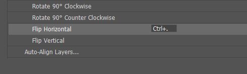 flip horizontal shortcut setting photoshop
