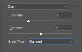 grain filter gallery settings photoshop