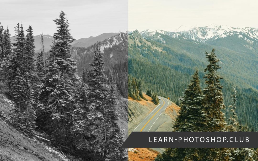 Stuck in Photoshop Grayscale? Here's What to Do