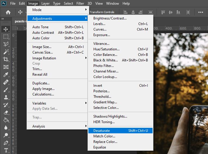 How to Make a Single Layer Grayscale in Photoshop | LP Club