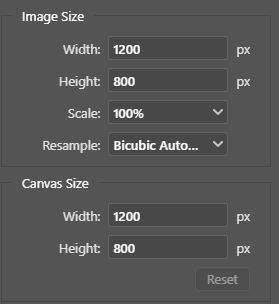 Export vs. Save As in Photoshop: What’s the Difference? | LP Club