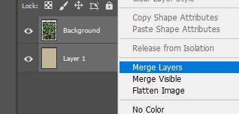 merge layers option photoshop