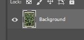 background layer selected in photoshop
