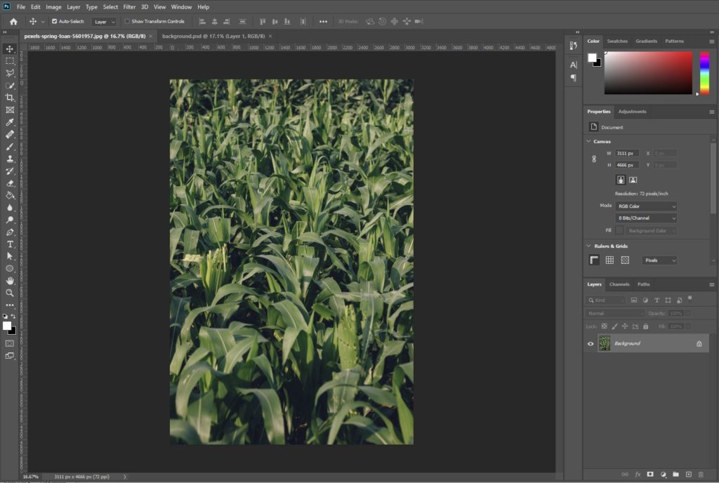 photoshop open with corn field image