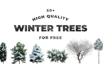 50 High-Resolution Winter Trees with Transparent Background to Download (for FREE)