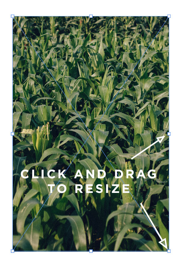 click and drag to resize an image in photoshop